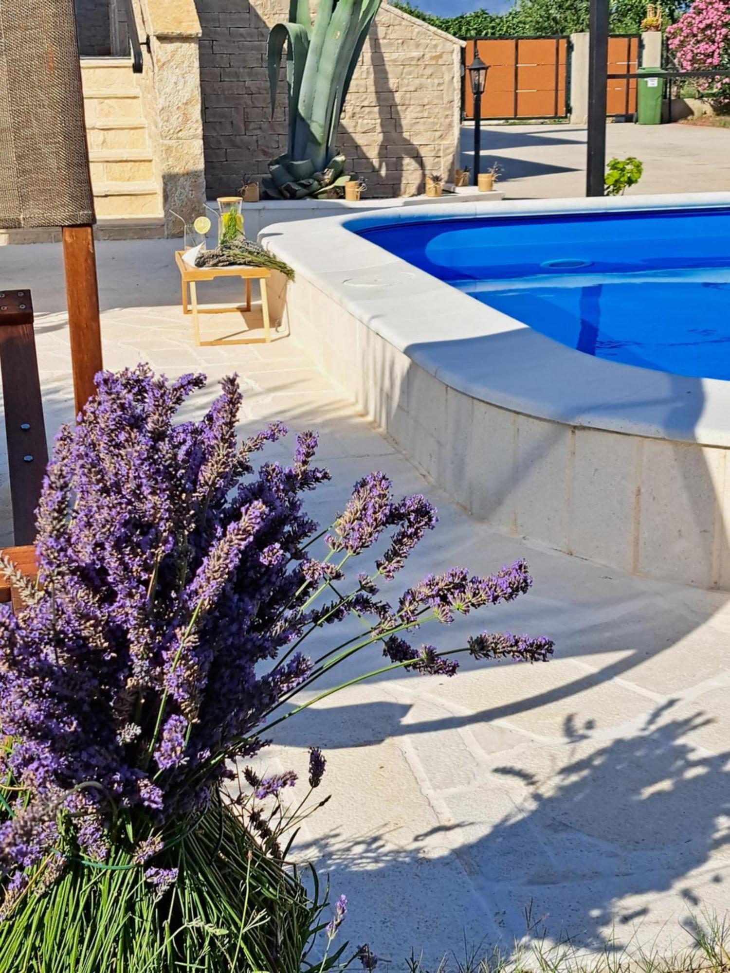 Vila Pan Zadar Exteriör bild